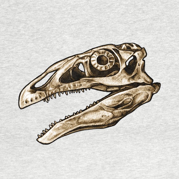 Dinosaur Skull Therizinosaurus by CassWArt